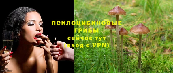 гидропоника Абдулино