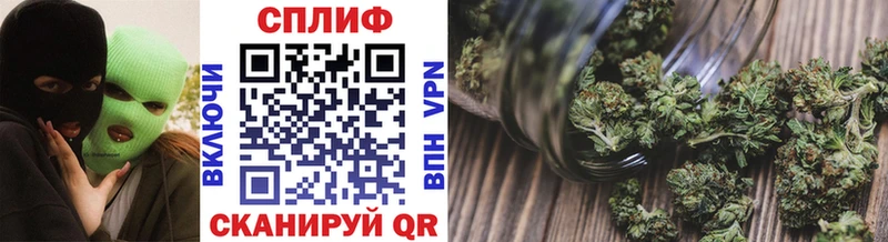 закладка  Кисловодск  Марихуана конопля 